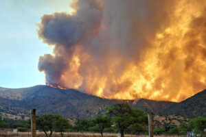 Quilpué: encuentran calcinado a voluntario que combatía el incendio de Colliguay