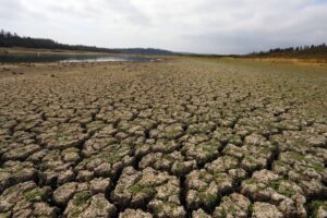 Fundación Chile presenta en la COP27 innovaciones de alto impacto para acelerar la adaptación al cambio climático