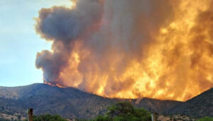 Precaución ante incendios forestales