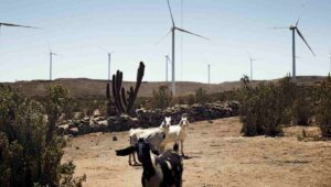 Grand Prix Empresa Alas20: Reconocimiento más importante de Hispanoamérica es otorgado a Enel Chile