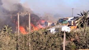 Incendio en Viña del Mar consume cerca de 100 viviendas y obliga a la evacuación del sector alto de la ciudad