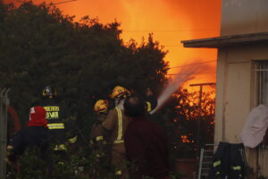 Viña del Mar: Estos son los albergues y centros de acopio habilitados tras el incendio forestal