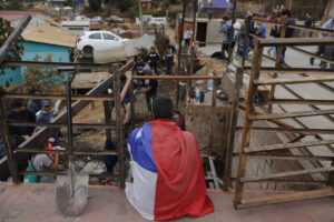 Los incendios forestales erosionan el funcionamiento psíquico