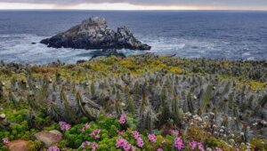Cuatro spots al aire libre en la Región de Valparaíso para disfrutar en este verano