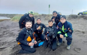 VIDEOS - Así fue rescatada una perrita que sobrevivió cuatro días en una roca de la desembocadura del Biobío