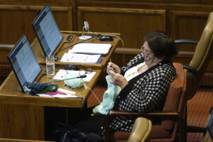 La defensa de María Luisa Cordero tras aparecer tejiendo en plena sala de la Cámara de Diputados