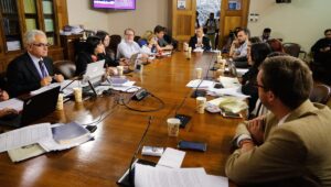 Comisión de Constitución de la Cámara da inicio a estudio de proyecto de proceso constituyente 2.0