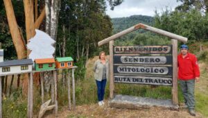 Ruta del Trauco: Emprendimiento ofrece recorrido nocturno por un bosque de Chiloé