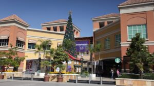 Delincuentes con overoles blancos asaltaron local del Portal La Dehesa a mano armada
