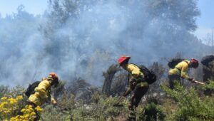 Intencionalidad: el factor que aumenta los incendios forestales 