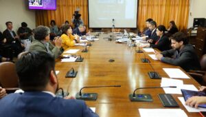 Comisión de Constitución rechaza idea de legislar autopréstamos de fondos de AFP