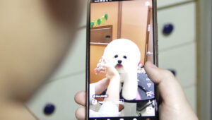 MetaEgo es el concepto que mejor define al usuario del Metaverso