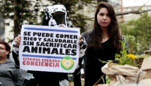 Enero, el mes que elegí para ser vegana