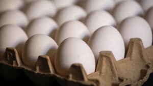 ¿Habrá que comprarse una gallina?: por qué los huevos suben tanto, cuánto huevo comemos y cómo ahorrar al comprarlos