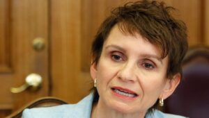 Ministra del Interior espera desplegar en febrero a las FF.AA. en las fronteras