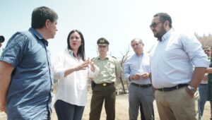 Gobierno anuncia medidas de apoyo para Santa Juana y Nacimiento tras incendios forestales