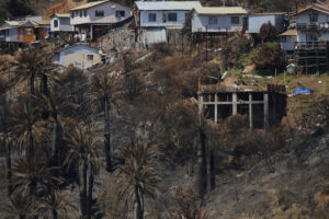 Incendio forestal en Viña del Mar: Gobierno extiende estado de catástrofe por 30 días más
