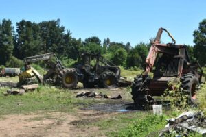 Fiscalía reportó baja de 43% de delitos de violencia rural en La Araucanía
