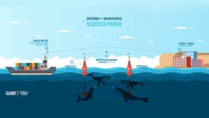 Emprendimiento instala boyas con inteligencia artificial para ayudar a la fauna marina a través de la detección sonora