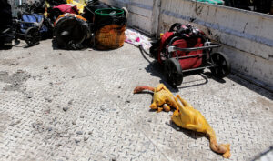 Pintaban pollos para disimular su aspecto: así fue el último decomiso masivo de comida callejera