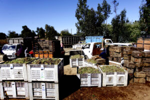 Menos trámites notariales, más apoyo a mujeres y pymes: así es la agenda de productividad para levantar la economía
