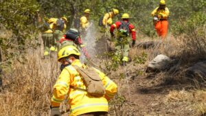 Llaman a prevenir incendios forestales ante la ola de calor pronosticada desde este miércoles hasta el fin de semana
