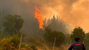 Alerta Roja: incendio forestal en Ñuble amenaza sectores poblados de Chillán y Chillán Viejo