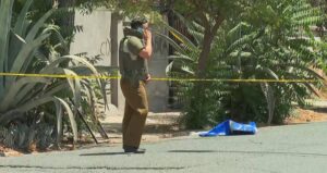 Lo que se sabe del macabro hallazgo de un brazo en Recoleta