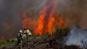 Gobierno decreta Estado de Catástrofe en la Región de Ñuble por incendios forestales