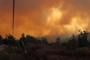 Arauco: incendio forestal destruyó escuela de Punta Lavapié
