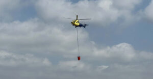 Corporación Chilena de la Madera denuncia 