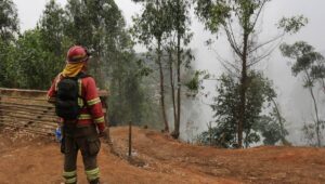 Fiscalía Nacional: 8 personas pasaron por control de detención entre viernes y domingo por incendios