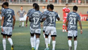 ANFP suspende dos partidos por incendios y reprograma choque entre Colo Colo y Ñublense