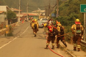 Denuncian alza de precios de insumos para combatir incendios forestales