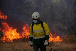 Un mes más de incendios forestales: la preocupante proyección del Gobierno