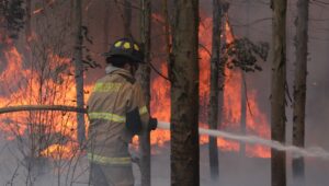 Emergencia país: no olvidemos a los niños y niñas