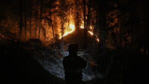 Expertos italianos investigarán origen de incendios forestales en el centro sur del país