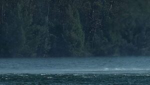 Encuentran cuerpo en tranque La Luz en Curauma: investigan participación de terceros