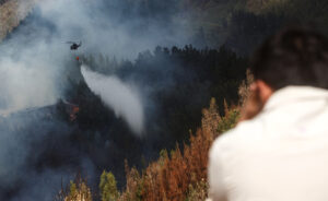 Comparando con la tragedia de Turquía, Gobierno insiste en diálogo sobre regulación forestal