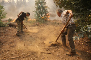 Se vienen días complicados: Gobierno detalla proceso de contención de los incendios