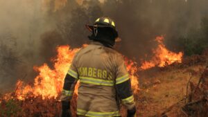 Declaran Alerta Roja en Peñaflor por incendio forestal que amenaza a viviendas