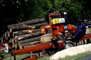 Las razones del Gobierno para excluir un royalty en el 