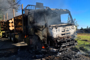 Gobierno perseguirá a la CAM por atentado durante los incendios forestales