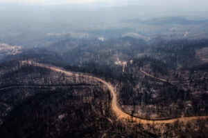 Gobierno desacredita cifras y se enfrenta con forestales por intencionalidad de incendios