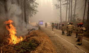 Turista belga incrementa la lista de fallecidos en los incendios forestales