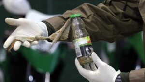 Así fue el ataque de un grupo de overoles blancos que balearon y lanzaron bombas molotov a casa en Puente Alto