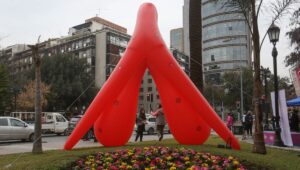 La defensa de Ministerio de la Mujer a entrega de $4 millones a guía para aprender a dibujar el clítoris