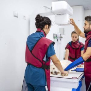 hospital veterinario
