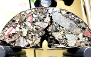 ¿Chao hoyos? Chilenos usan plantas para crear el primer asfalto autorreparable del mundo