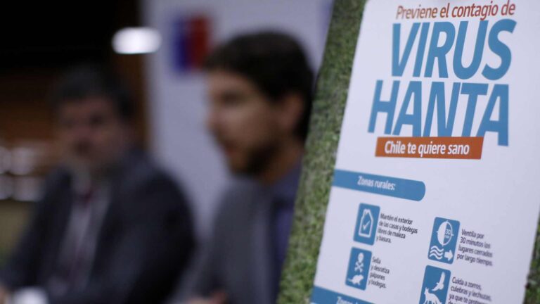Padres de niño muerto por virus Hanta en Puerto Montt denuncian negligencia médica